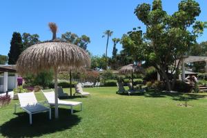 Сад в Hotel Malaga Picasso