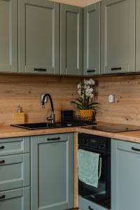 a kitchen with white cabinets and a sink at Mikroklimat in Nowa Ruda +15 photos