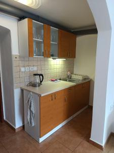 a kitchen with a sink and a counter top at Ubytování pod Ostašem in Police nad Metují