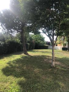 Κήπος έξω από το studio avec parking Montpellier