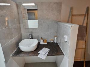 un baño con lavabo y espejo en La Jeannoterie, en Lithaire