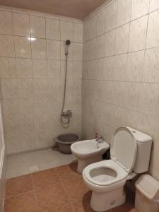 Chateau Nassar : حمام مع مرحاض ومغسلة ودش