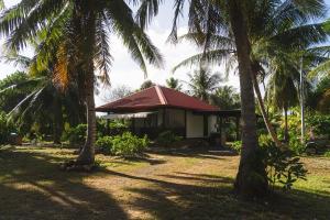 a resort with palm trees in front of a building at Kinakamo Lodge et Activités Rangiroa in Tiputa