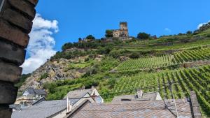 a castle on top of a hill with vines at Rheinsteig-Ferienwohnungen in Kaub
