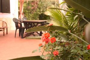 a plant with red flowers and a table and chairs at Spiaggia LazzarettoHouse in Alghero