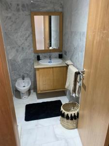 布兹尼盖Appartement de luxe avec vue sur mer的带水槽、马桶和镜子的浴室