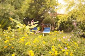 a garden with a blue chair and flowers at Spiaggia LazzarettoHouse in Alghero