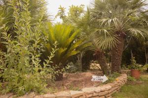 a garden with palm trees and a stone wall at Spiaggia LazzarettoHouse in Alghero