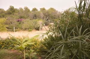 a garden with plants and a bridge in the background at Spiaggia LazzarettoHouse in Alghero