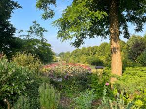 Fotografie z fotogalerie ubytování La muse bretonne - BBQ - Mac & Wifi - big Patio with view of the garden - private Parking - anytime access v destinaci Plaine-Haute