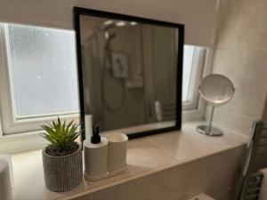 a bathroom counter with a mirror and a plant at Group Bookings: Up To 30 Guests Across 5 Spacious Flats! Keyless Access Free Wifi & Parking in Birmingham