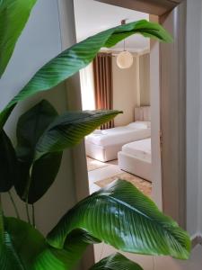 ベラトにあるGuest House Shytiの鏡のあるリビングルームの緑の植物