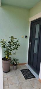 Fotografia z galérie ubytovania Apartman Norma free parking v destinácii Rabac