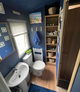 a blue bathroom with a toilet and a sink at Cornwall caravan in Crantock