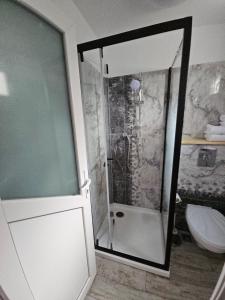 a bathroom with a shower with a glass door at LaNoi 26 in Mangalia +14 photos