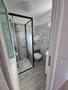 a bathroom with a shower and a toilet in it at LaNoi 26 in Mangalia