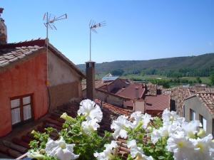 vistas a una ciudad con flores blancas en el techo en Apartamentos Turísticos Pepe, en Gea de Albarracín