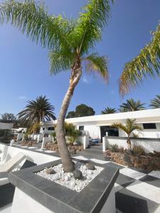 una palmera delante de un edificio en Paraiso villas, en Playa Paraiso