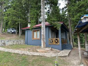 a blue tiny house in the middle of a forest at SUNGUR DAĞ EVi in Macka