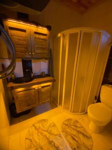 a bathroom with a shower and a toilet and a sink at SUNGUR DAĞ EVi in Macka