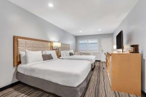 Postel nebo postele na pokoji v ubytování Sather Berkeley - SureStay Collection by Best Western
