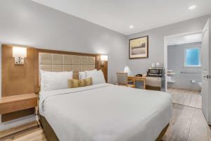Postel nebo postele na pokoji v ubytování Sather Berkeley - SureStay Collection by Best Western