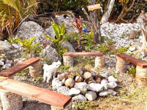 Ảnh trong thư viện ảnh của Kiikii Retreat ở Đảo Rarotonga +14 ảnh