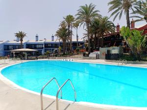 een groot blauw zwembad met palmbomen en een gebouw bij A Dream On The Beach Sun Club in Playa del Aguila