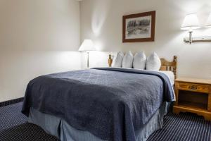 Postel nebo postele na pokoji v ubytování Quality Inn & Suites Goldendale