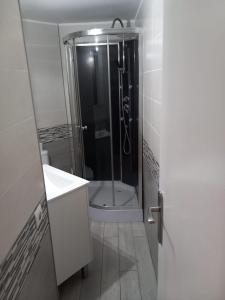 a bathroom with a shower with a toilet and a sink at Apartamento cerca del Mar in Empuriabrava