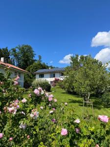 une maison avec une cour avec des roses roses dans l'établissement Ferienwohnung Wallner, à Prien am Chiemsee