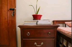 a wooden dresser with a potted plant on top of it at Flats Lago Norte MOTO CAPITAL 3 PESSOAS! in Brasilia