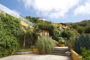 a garden with stairs and plants on a wall at Finca Las Madrecitas in La Orotava
