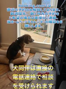 a dog sitting on a pillow looking out of a door at Kamakurayama Holiday Flat in Kamakura