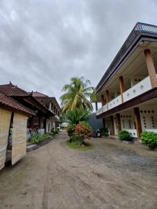 Un camino de tierra entre dos edificios con una palmera. en Lamancha Homestay, en Kuta Lombok