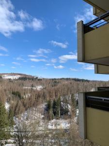 Un balcón o terraza en Atempause und erholsame Zeit im Harz