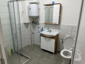 a bathroom with a shower and a toilet and a sink at Vesna Lake Apartments in Veles +23 photos