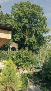 Zahrada ubytování Garden rooms in Kutaisi