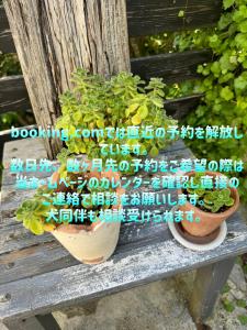 a potted plant sitting on a wooden bench at Kamakurayama Holiday Flat in Kamakura