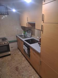 Kuchyň nebo kuchyňský kout v ubytování Guest House Romansa
