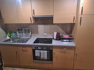 Kuchyň nebo kuchyňský kout v ubytování Guest House Romansa