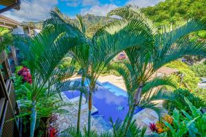 Charming Wailua Bay View Oceanfront Top Floor with an Amazing View!内部或周边的泳池