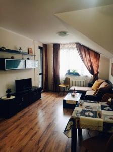 TV a/nebo společenská místnost v ubytování Апартамент С-59 в Апарт-хотел Боровец Гардънс