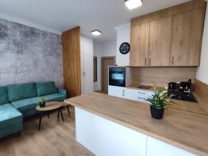 a kitchen and living room with a couch and a table at Plac Pilsudskiego in Opole