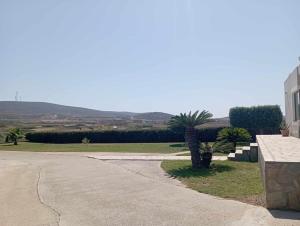 a driveway with a palm tree next to a building at Katavias House in Kattavía