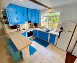 a kitchen with blue cabinets and a white refrigerator at Les poissons du lagon YH in Uturoa