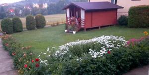 a smallshed in the middle of a yard with flowers at Chatki Sypialne Traperki in Polańczyk +4 photos