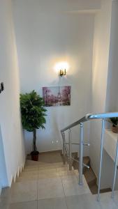 Fotografie z fotogalerie ubytování Aparthotel Costa Calma v destinaci Acheloj