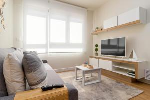 a living room with a couch and a tv at HOME IN CASTRO con PARKING in Castro-Urdiales