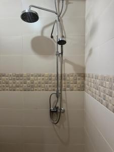 a shower with a shower head in a bathroom at Bali Bliss ArtVilla in Uluwatu